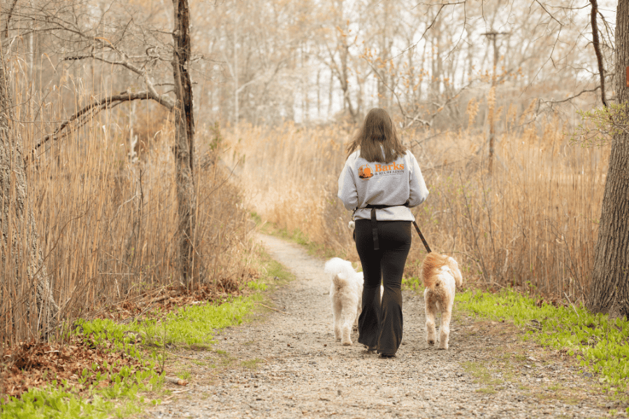Dog Walking Barks and Rect (1) Dog Walking Barks and Rect