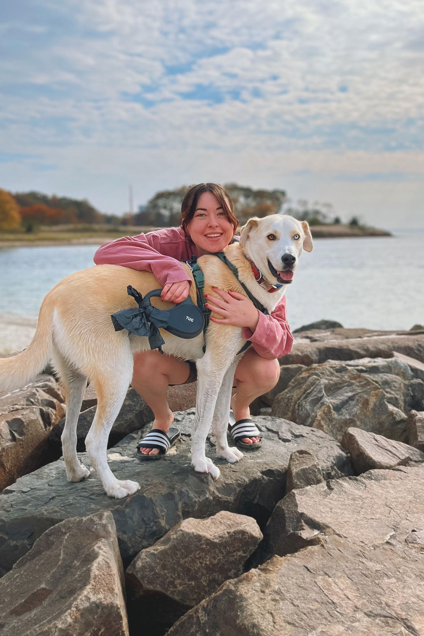 Katy - Barks and Recreation