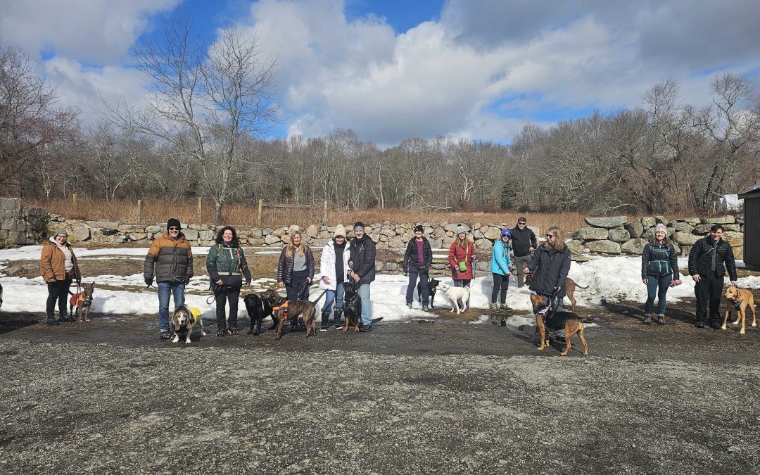 Barks Community Trail Hike in Groton CT | Haley Farm & X-Town Trail Recap