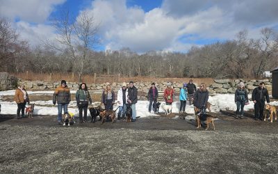 Barks Community Trail Hike in Groton CT | Haley Farm & X-Town Trail Recap