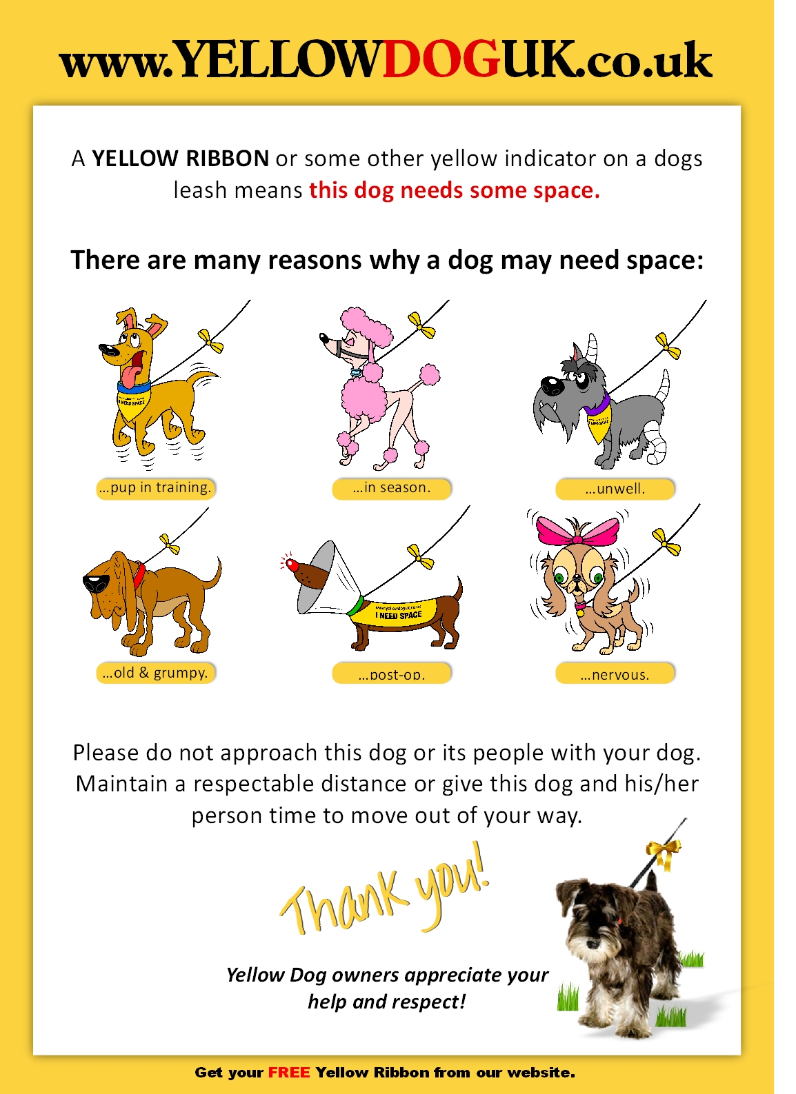 the yellow dog project and why its important to kow in southeastern ct like mystic stonington waterford norwich niantic noank